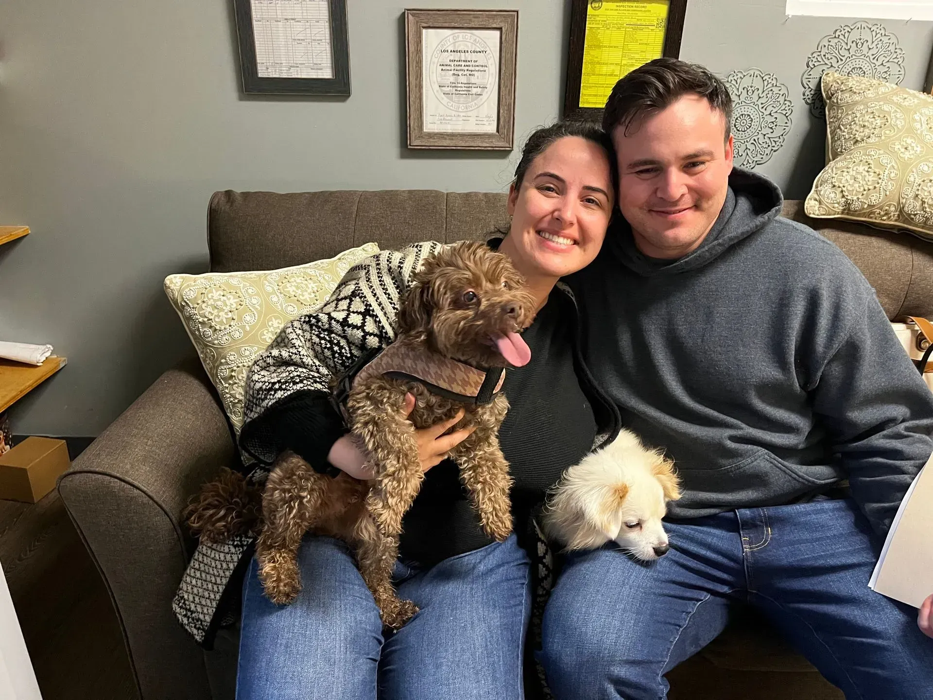 Couple on a couch with two small dogs, smiling in a cozy living room.
