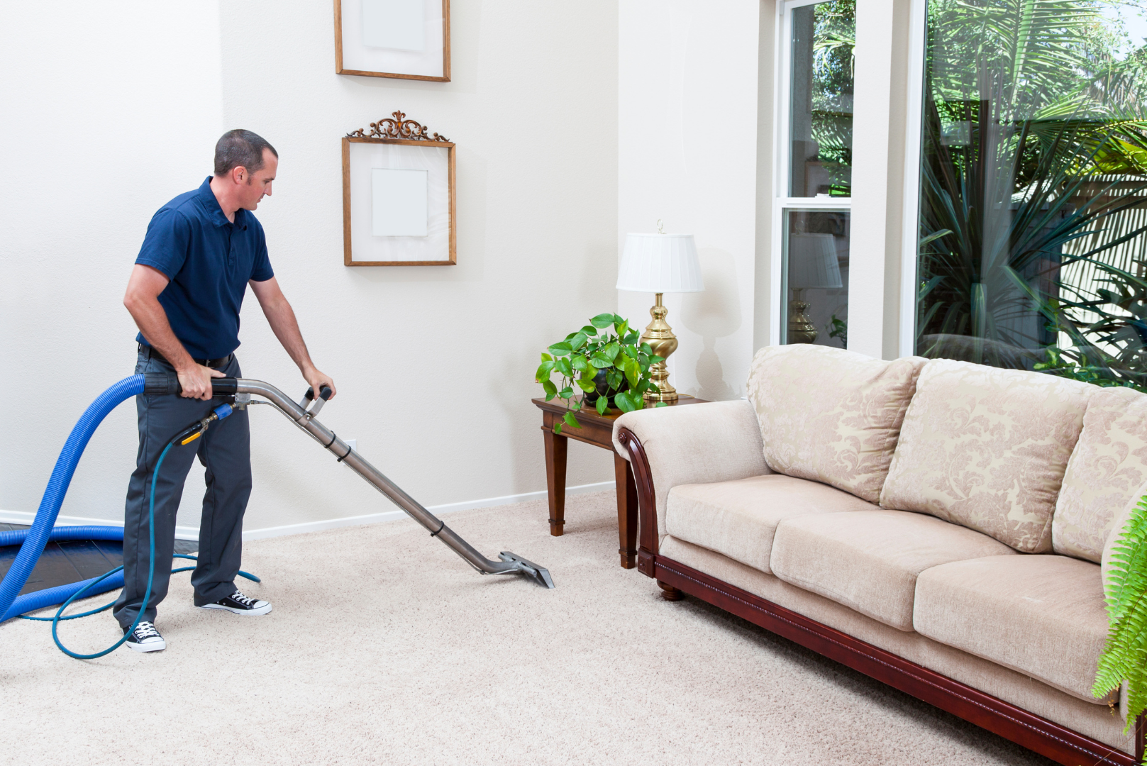 Carpet Cleaning Boise (All American)