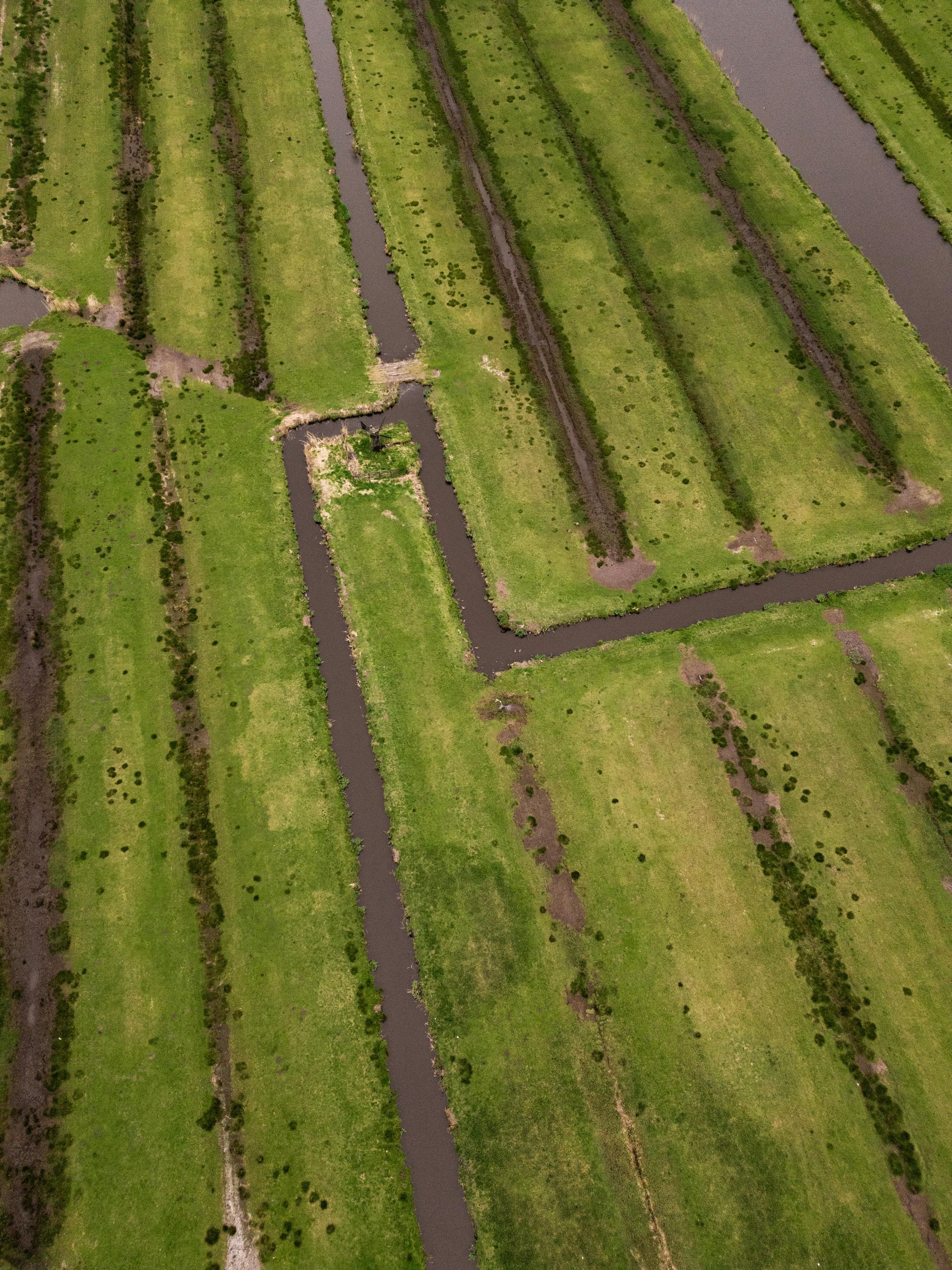 An aerial view of a lush green field with a river running through it.