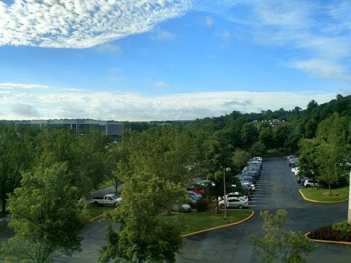 An aerial view of a parking lot surrounded by trees