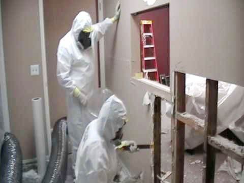 mold inspection and removal