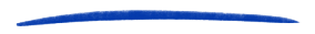 A close up of a blue feather on a white background.