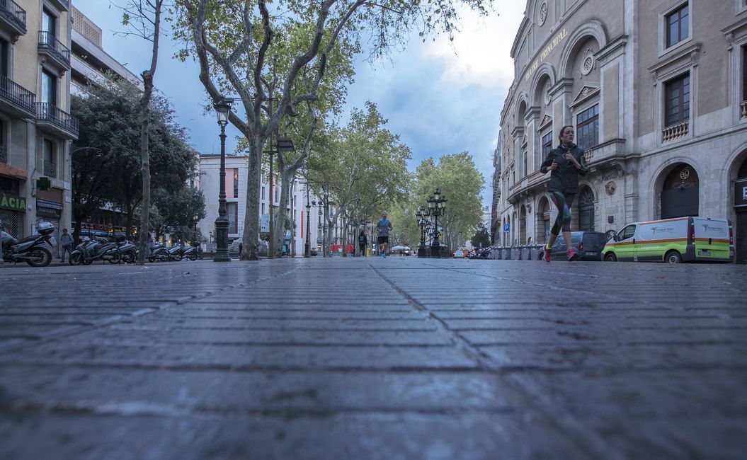 Street scene with buildings, trees, and a person running. Cobblestone ground, overcast sky.