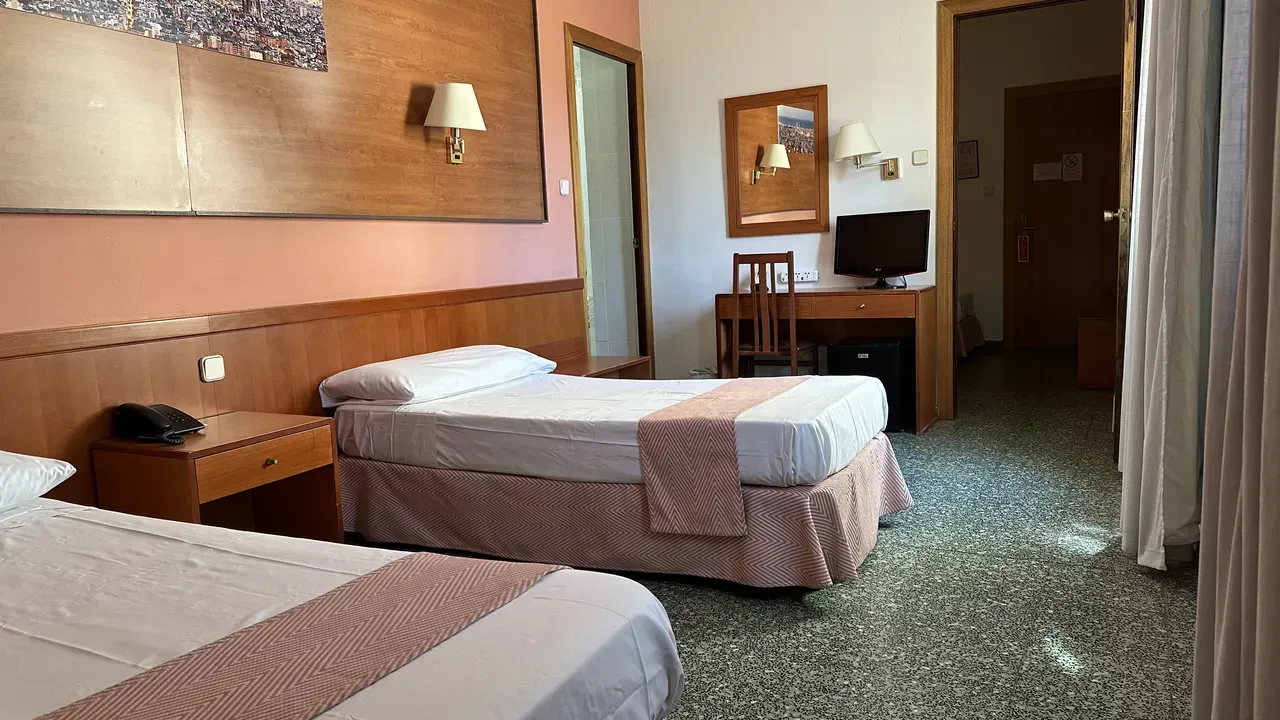 Hotel room with two twin beds, desk, mirror, and a door. Pale pink walls, brown furniture, and patterned carpet.