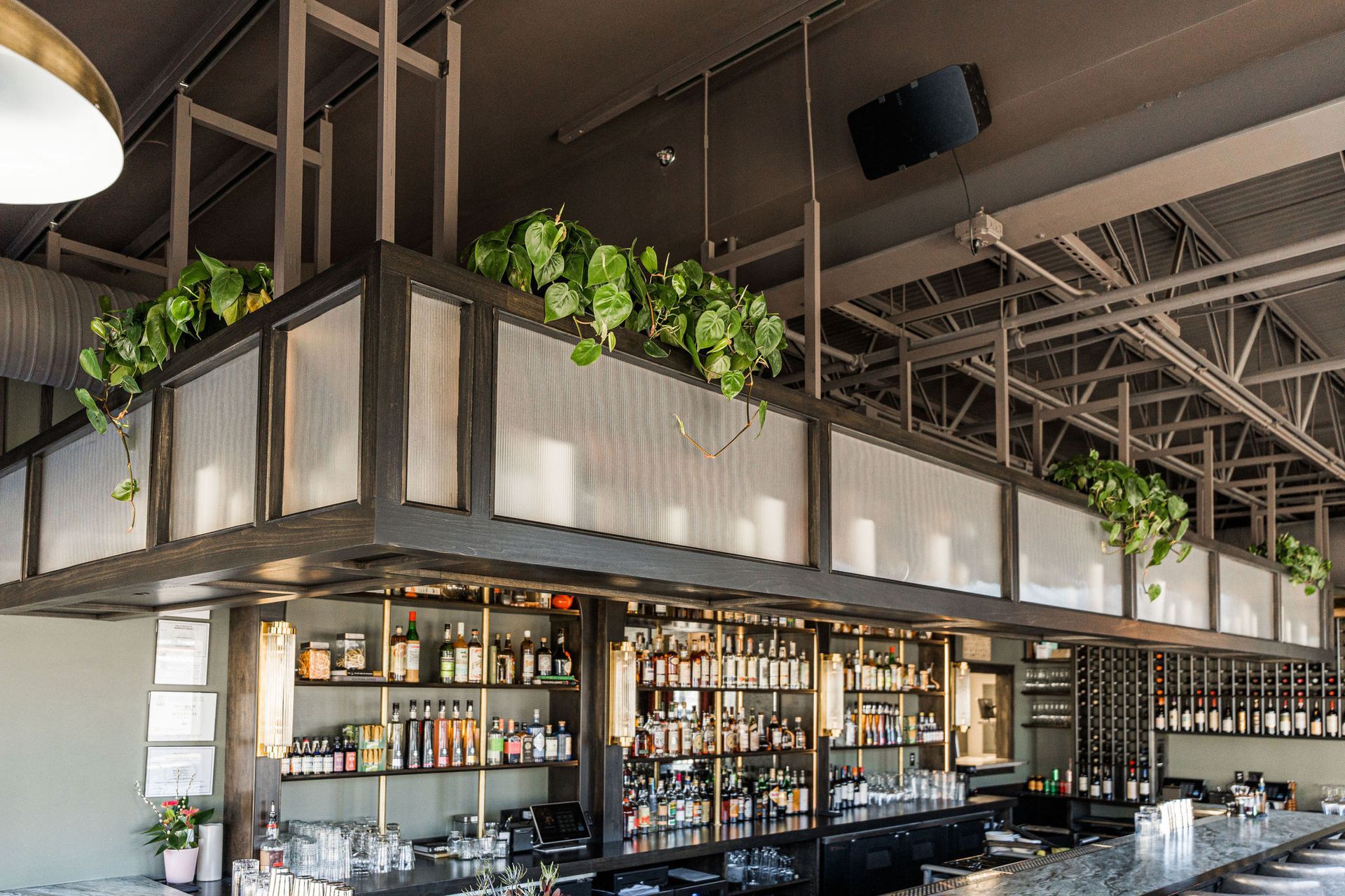 A long bar in a restaurant with lots of shelves and plants hanging from the ceiling.