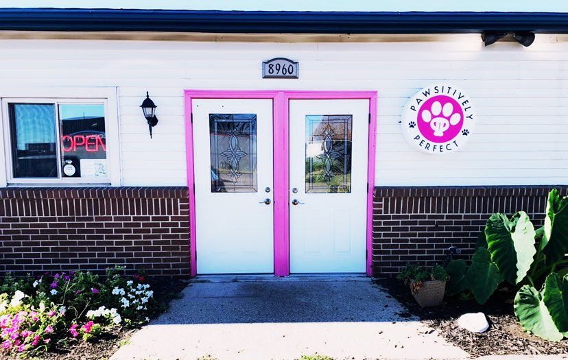 Outside The Office — Dayton, OH — Pawsitively Perfect