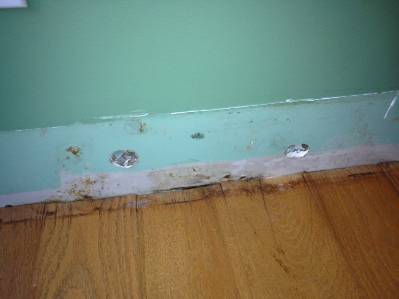 Mold Removal Huntsville, AL