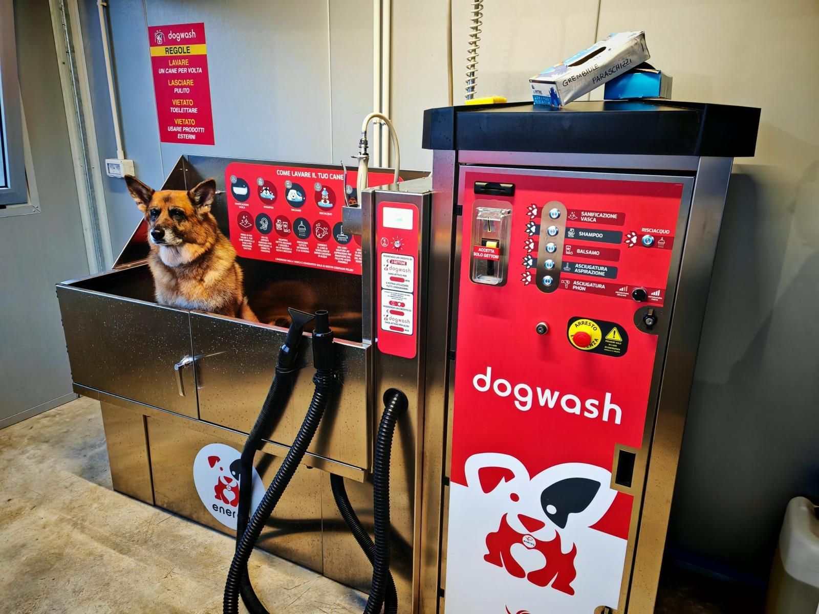 lavaggio self service cani