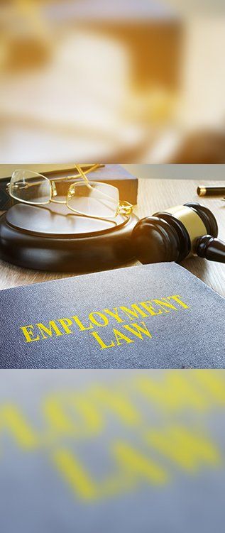 Employment Law — Law Firm in Taree, NSW
