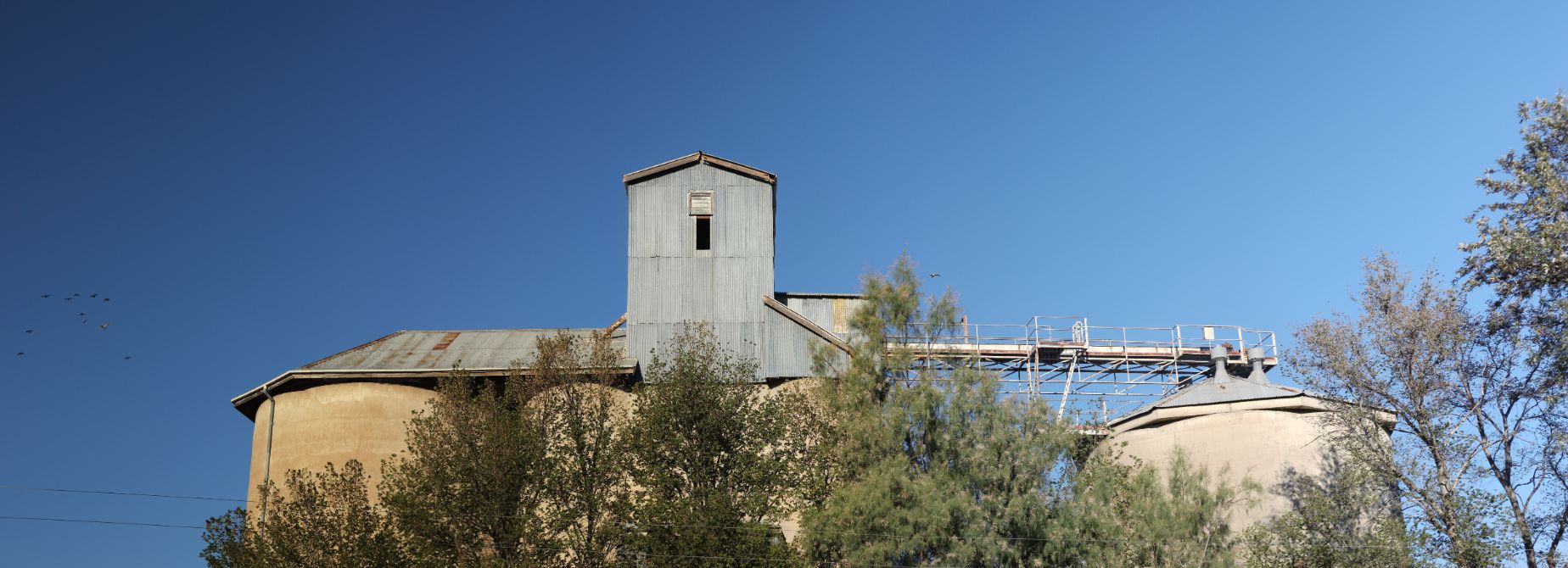 Tall wheat grain silos and building — Law Firm in Taree, NSW