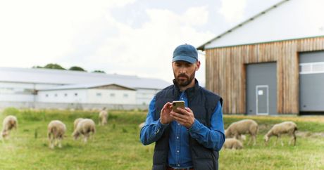 Farmer Looking at Phone — Law Firm in Taree, NSW
