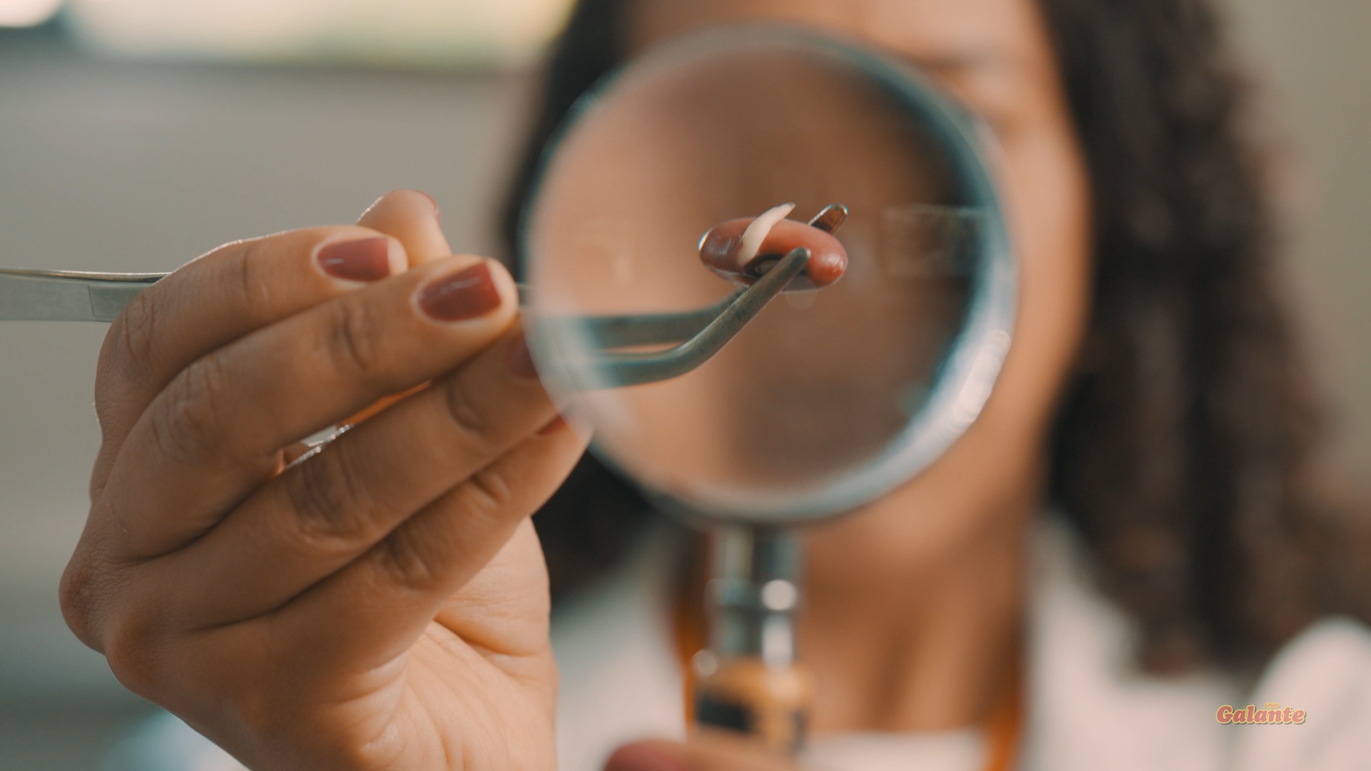 Viu uma pontinha branca no feijão e ficou com dúvida? Entenda o que é a radícula, se o feijão ainda 