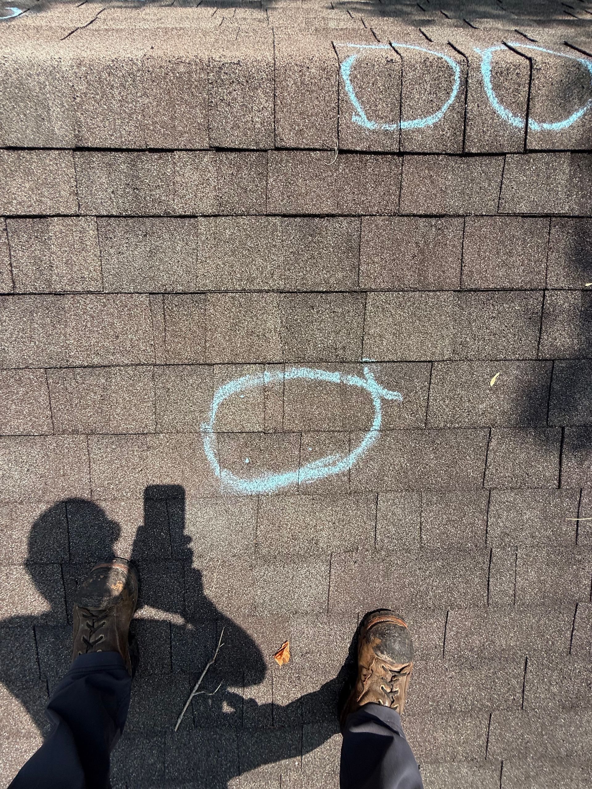 A person is standing on a sidewalk with chalk circles drawn on it.