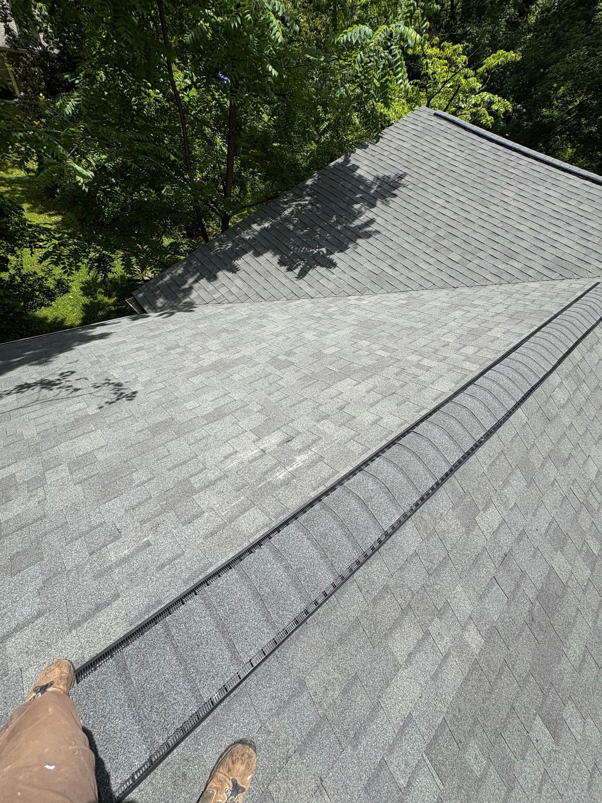 A person is standing on top of a roof with trees in the background.