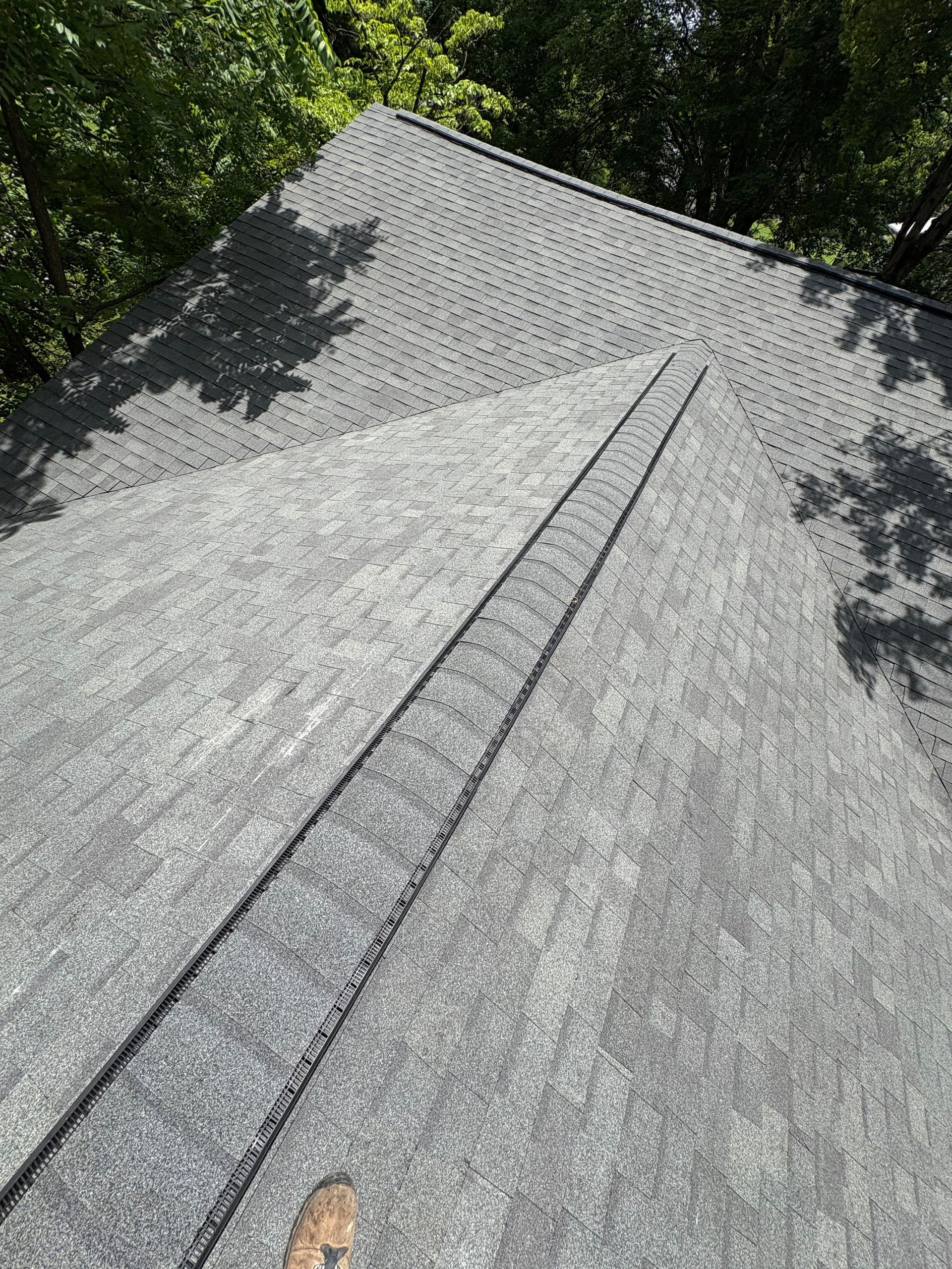 A person is standing on top of a roof with trees in the background.