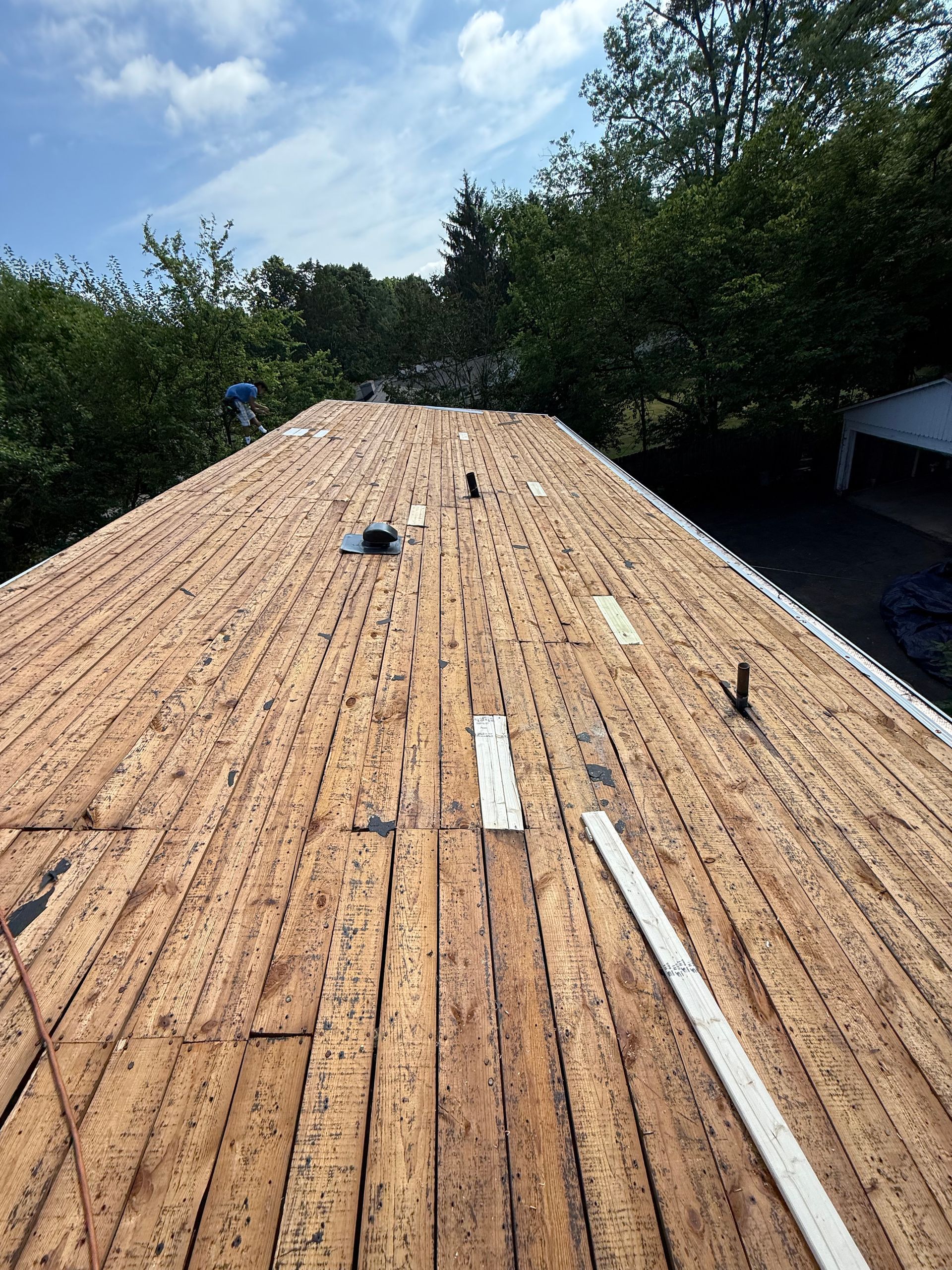 A wooden roof with trees in the background and a blue sky in the background.