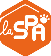 Un logo pour un spa avec une empreinte de patte dessus.