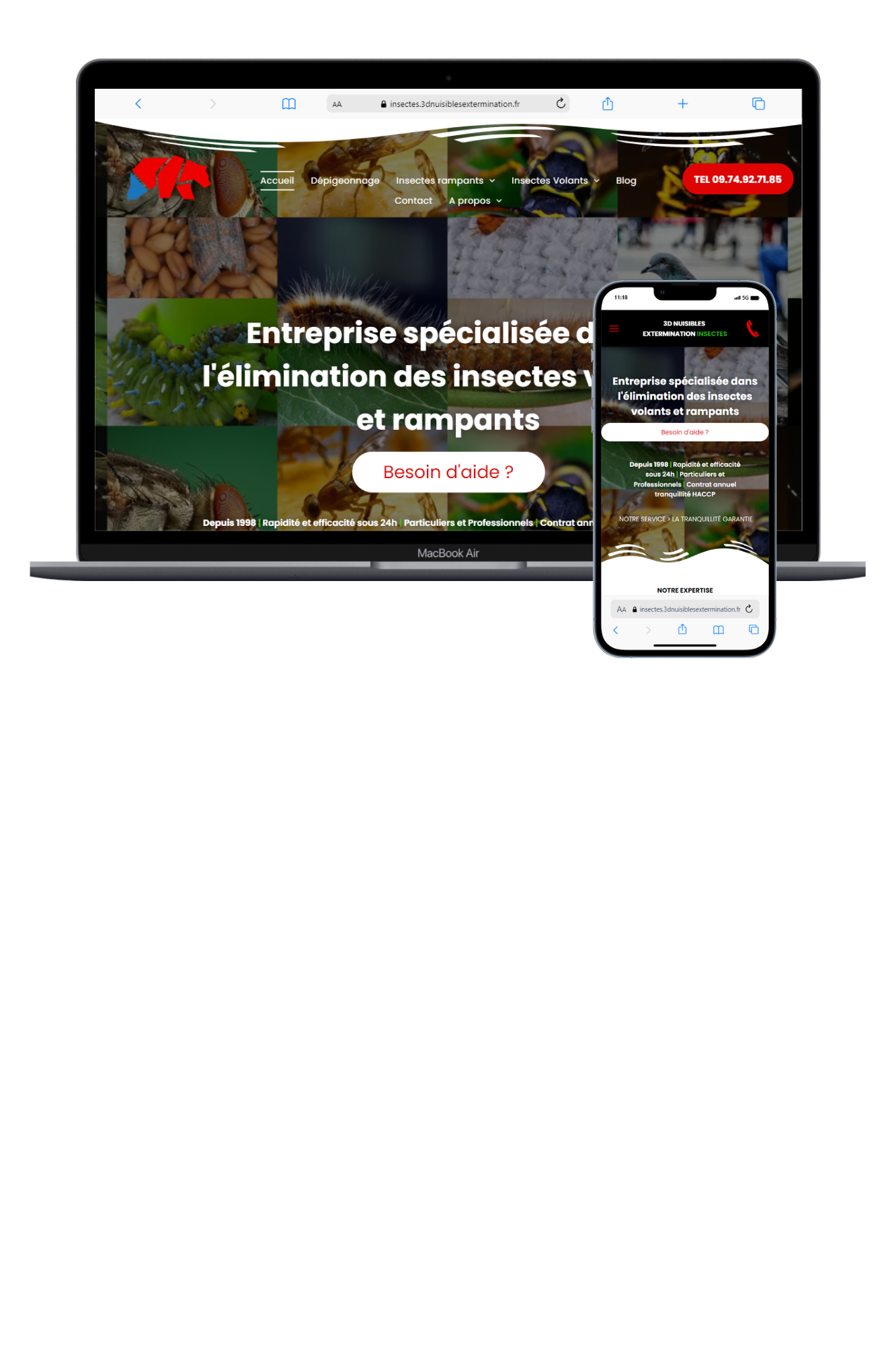 Vignette du site 3d insectes