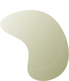 Un cercle vert avec un dégradé se trouve sur un fond blanc.