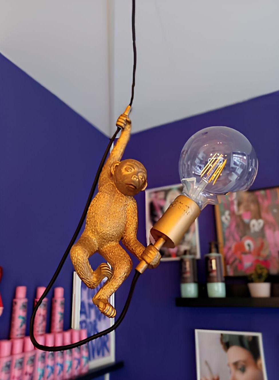 Una scimmia è appesa a una corda a cui è attaccata una lampadina.