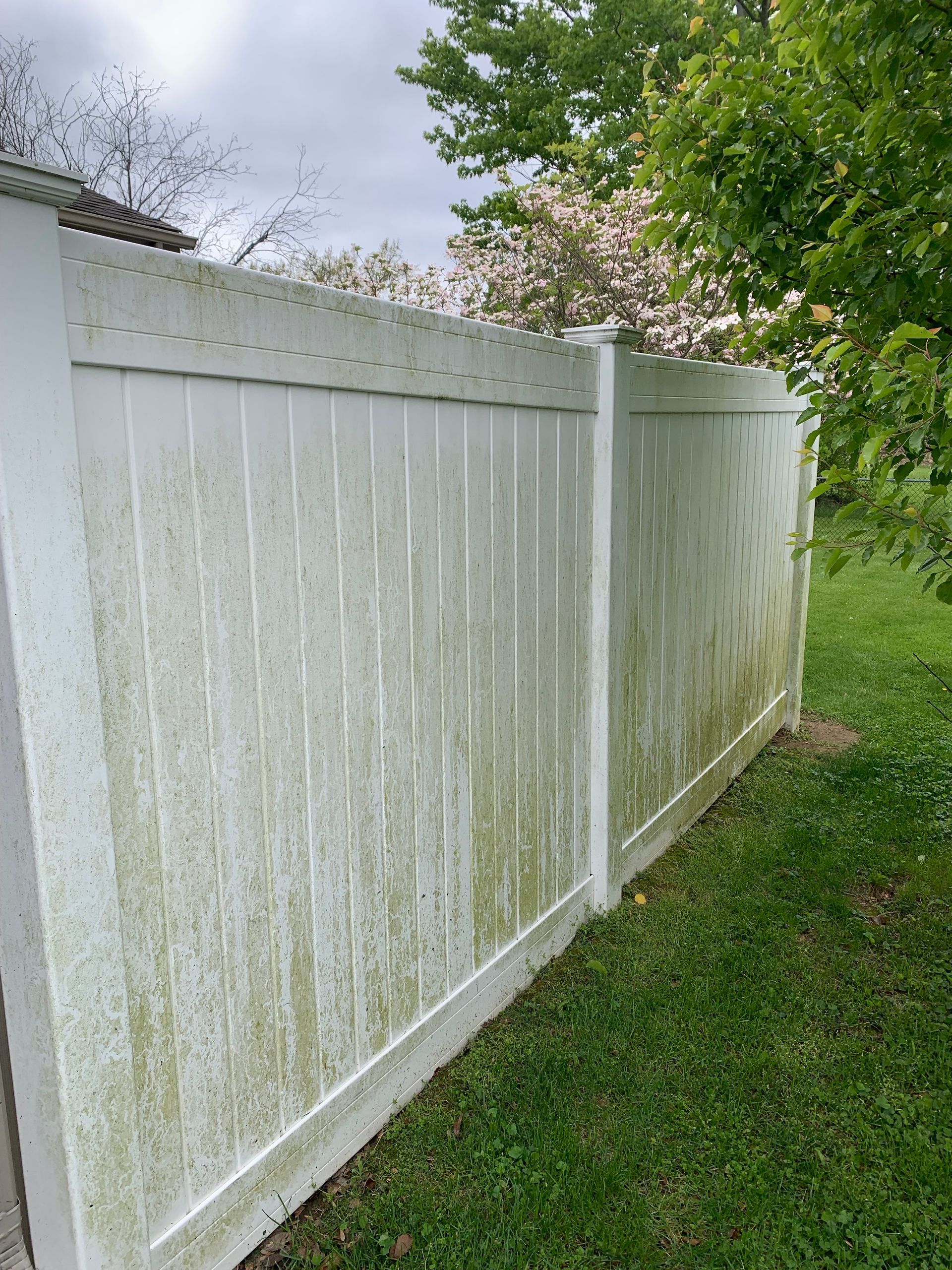 Before Cleaning the White Fence — Springfield, IL — Midwest Power/Soft Washing
