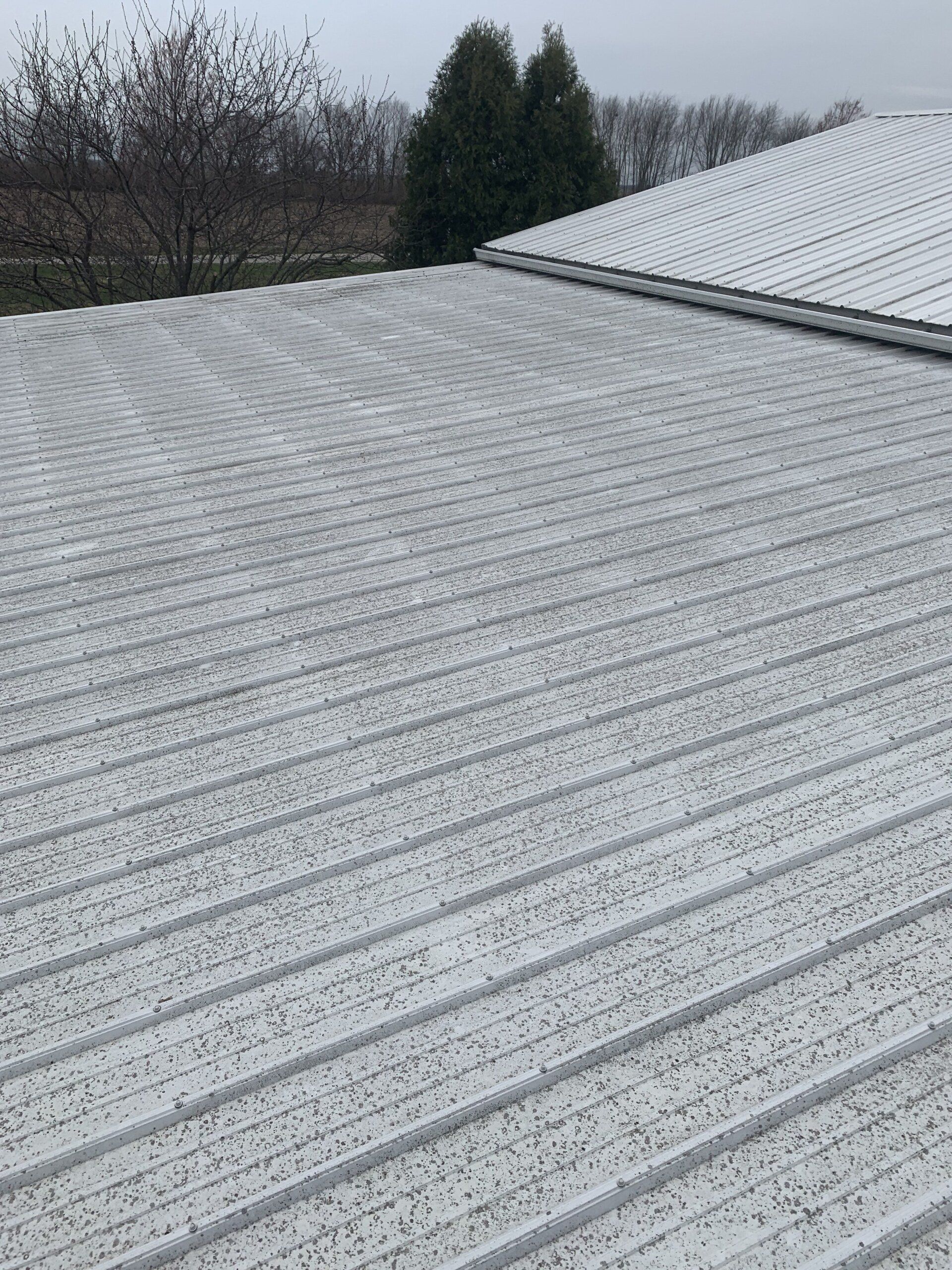 Before Cleaning the House Roofing — Springfield, IL — Midwest Power/Soft Washing