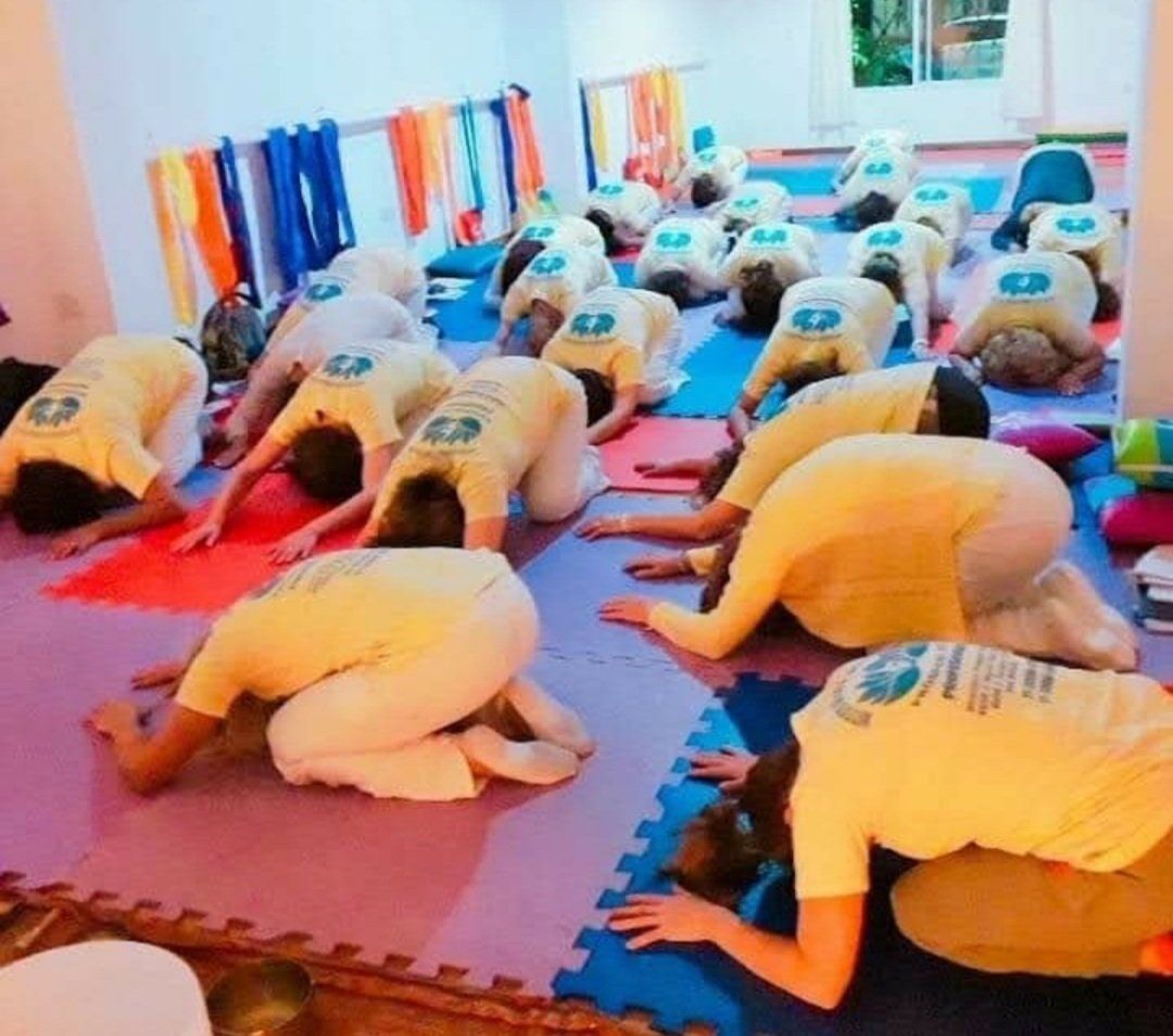 yoga-terapia