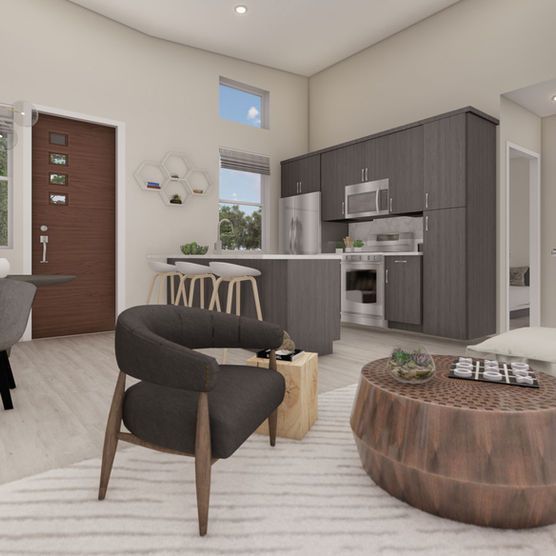 Modern living room with kitchen. Dark gray cabinets, wooden door and furniture, and a rug.