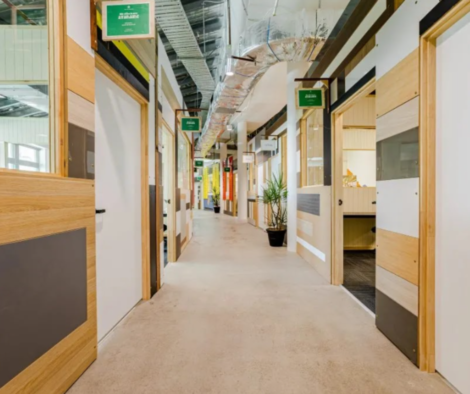 Modern office hallway with glass-walled rooms, wood doors, and carpeted floor Modern office hallway with glass-walled rooms, wood doors, and carpeted floor