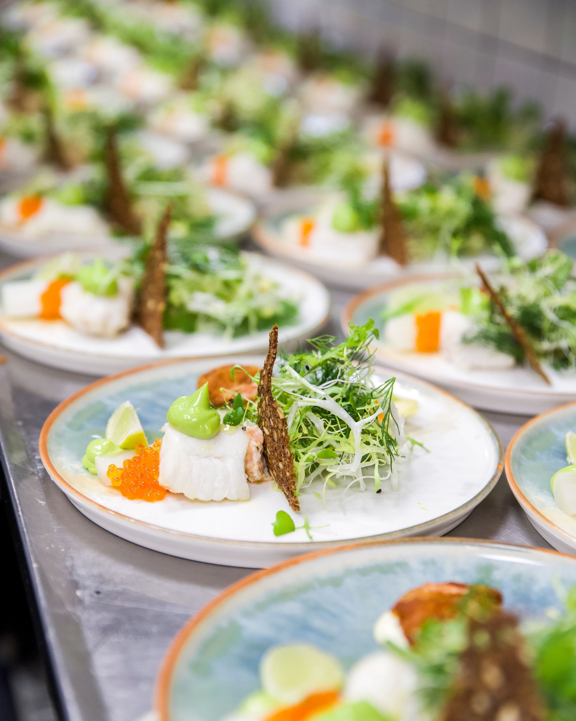 Tallerkener klar til servering, hver med et stykke fisk, avocado, spirer og en chips.