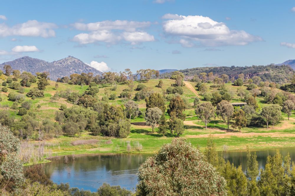 Rolling Green Hills With Scattered Trees — Concrete Colour Solutions in Scone, NSW