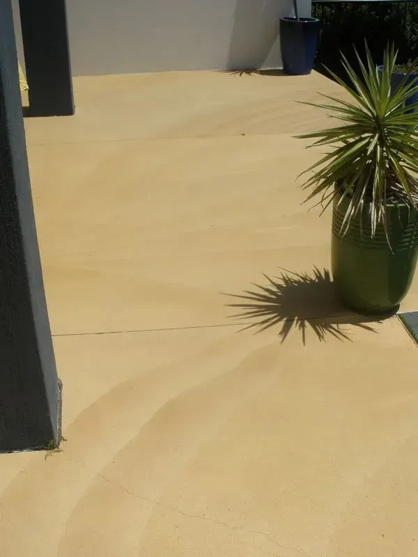A potted plant is sitting on a wooden floor — Concrete Colour Solutions in Morisset, NSW