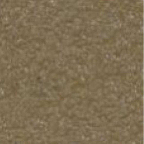Inspiration — Concrete Colour Solutions in Morisset, NSW