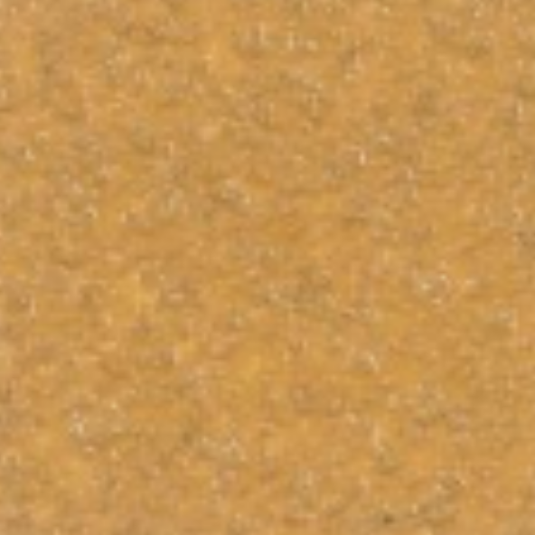 Lightstone — Concrete Colour Solutions in Morisset, NSW