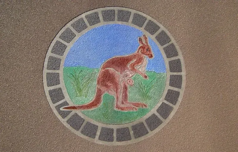 A kangaroo is painted in a circle on the ground — Concrete Colour Solutions in Morisset, NSW