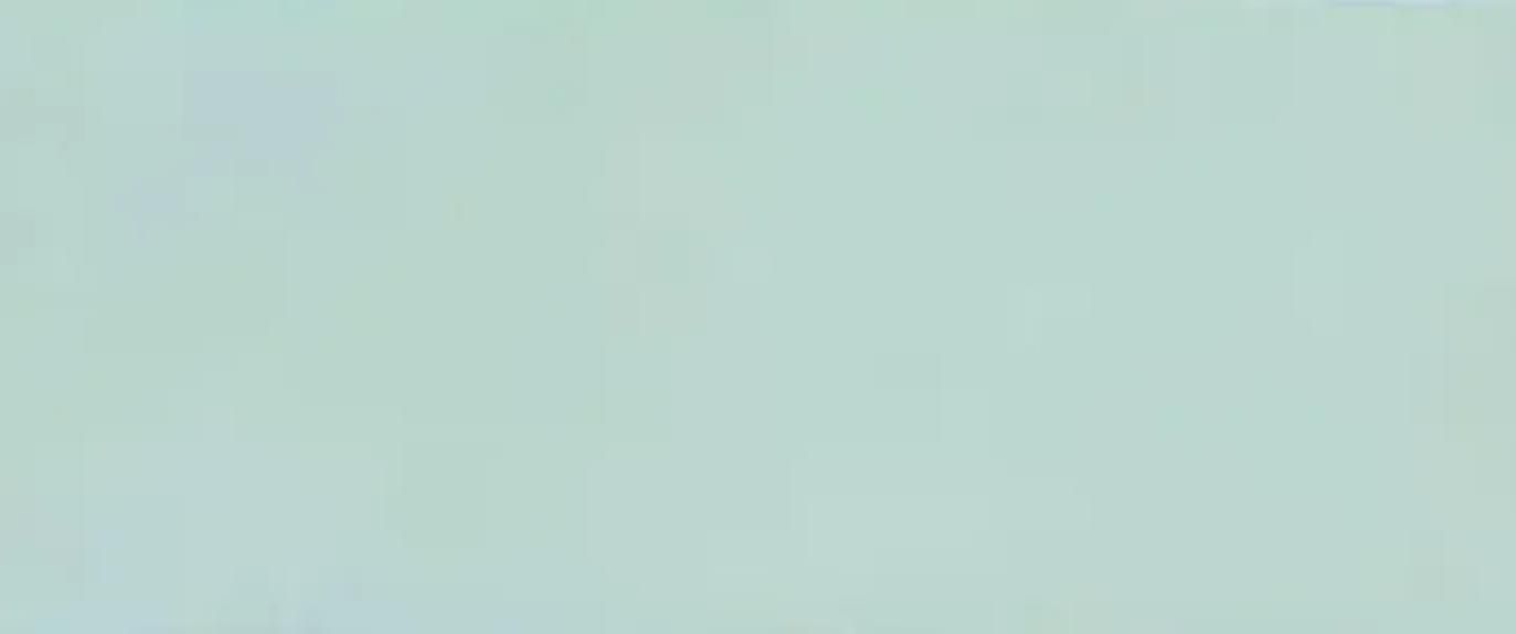 Pale Blue — Concrete Colour Solutions in Morisset, NSW