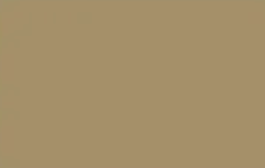 Fraser — Concrete Colour Solutions in Morisset, NSW