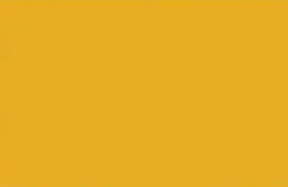 Safety Yellow — Concrete Colour Solutions in Morisset, NSW