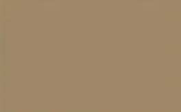 Fossil — Concrete Colour Solutions in Morisset, NSW