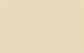 Ocean Sand — Concrete Colour Solutions in Morisset, NSW
