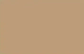 Almond — Concrete Colour Solutions in Morisset, NSW