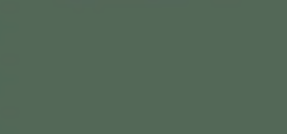 Wilderness — Concrete Colour Solutions in Morisset, NSW