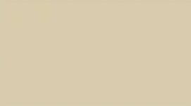 Parchment — Concrete Colour Solutions in Morisset, NSW