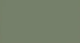 Eucalypt — Concrete Colour Solutions in Morisset, NSW
