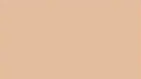 Biscuit — Concrete Colour Solutions in Morisset, NSW