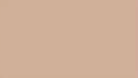 Beige — Concrete Colour Solutions in Morisset, NSW