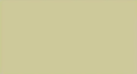 Chartreuse — Concrete Colour Solutions in Morisset, NSW
