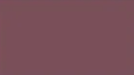 Plum — Concrete Colour Solutions in Morisset, NSW