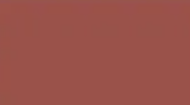 Red Gum — Concrete Colour Solutions in Morisset, NSW