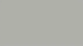 Light Grey — Concrete Colour Solutions in Morisset, NSW